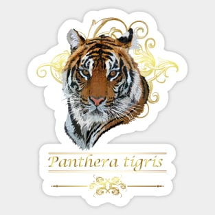 Bengal tiger Sticker